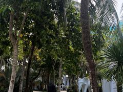 -富国岛翡翠湾 JW 万豪度假酒店