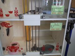 -1013 PET SHOP 宠物商店(近铁城市广场店)