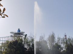 -洋湖国家湿地公园