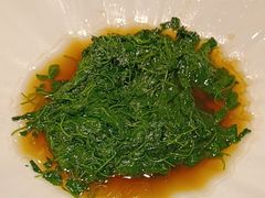 -新雅粤菜馆(南京东路店)