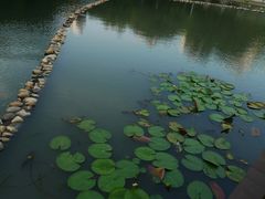 -苏州河梦清园环保主题公园