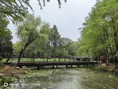 -长广溪湿地公园