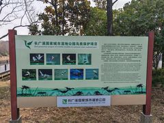 -长广溪湿地公园