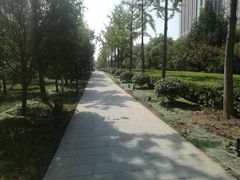 -唐城墙遗址公园