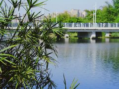 -四川大学(江安校区)
