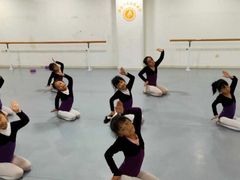 -西安小天鹅艺术团(金花路校区)