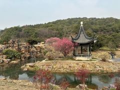 -龙寺生态园