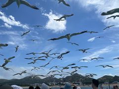 -海驴岛(荣成市)