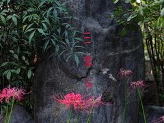 -西安大兴善寺