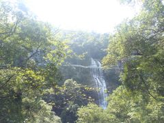 -九龙江国家森林公园