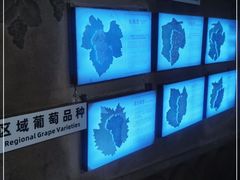 -青岛葡萄酒博物馆