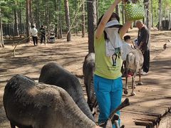 -北极村旅游风景区