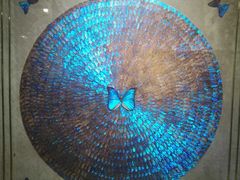 -上海昆虫博物馆