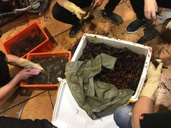 -熊记虾王·小龙虾(东晓南店)