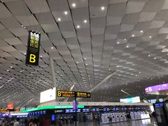 -郑州新郑国际机场T2航站楼-贵宾厅B区