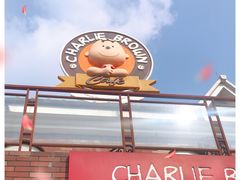 -史努比缤纷世界