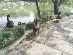 -长兴太湖图影湿地文化园