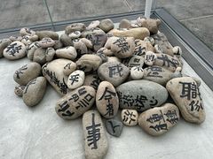 -金泽21世纪美术馆