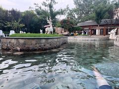 -白鹿温泉加勒比水上乐园