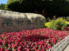 -南宁南湖公园