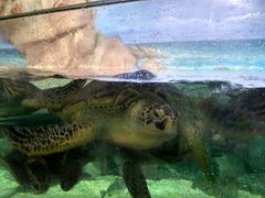 -福州罗源湾海洋世界旅游区