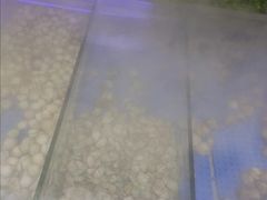 -格瑞欧海鲜自助烤肉火锅(光彩店)