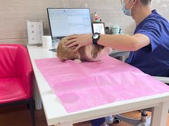 -北京观赏动物医院·24小时大型综合·猫专科·异宠专科