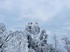 -峨眉山风景名胜区