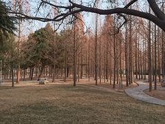 -达活泉公园