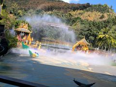 -西双版纳原始森林公园