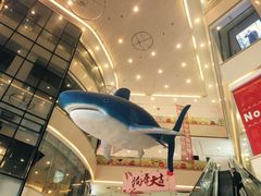 -乐从天佑城海洋馆