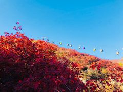 -周口店坡峰岭风景区