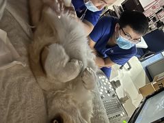 -哆趣宠物医院·眼科·内镜·急重症转诊中心(上海店)