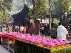 -眉山湿地公园(东坡区)