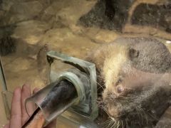 -绿色星球动物主题公园