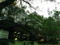 -香港大学