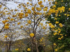 -中国移动南方基地