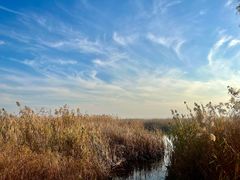 -苏州香山国际大酒店