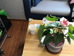 -3.3手制甜品轻食馆(虎门万科云城店)