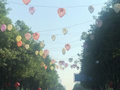 -清真重庆巴爷香辣鸡煲(南小巷店)