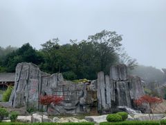 -塔云山