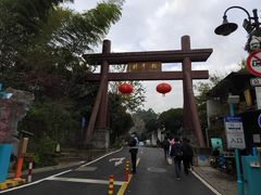 -十八棵（老龙井）御茶园(老龙井店)