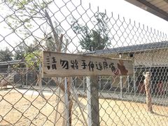 -鹿境梅花鹿生态园区