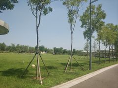 -东营园博园