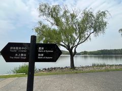 -上海月湖雕塑公园