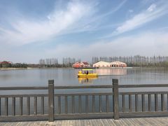 -上海长兴岛郊野公园