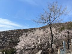 -妙峰山风景名胜区