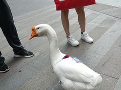 -大悦城(沈阳中街店)