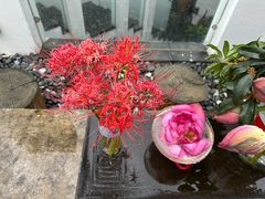 -再回首鸡肉米线(人民路一店)