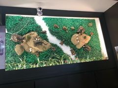 -海天堂(金銮大厦店)